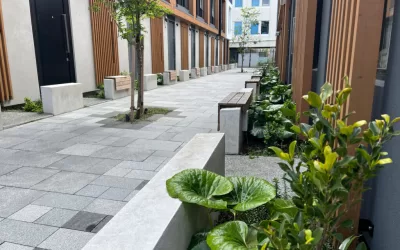 The Paddington , Picturesque terraces